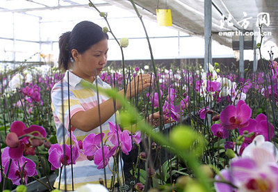 關(guān)閉化工廠環(huán)境產(chǎn)效益 西青加快生態(tài)區(qū)創(chuàng)建步伐-張家窩,環(huán)保-北方網(wǎng)-新聞中心